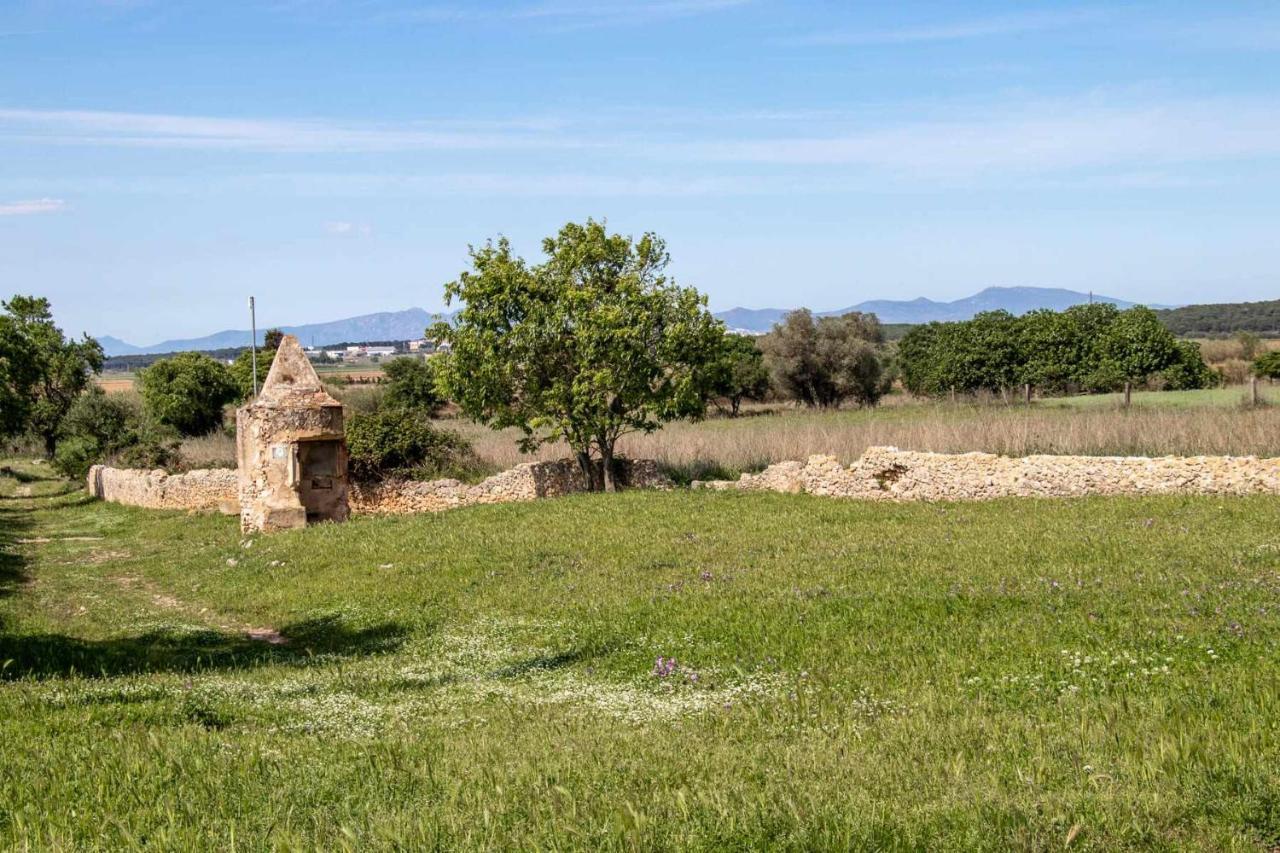 Ocells De Montgri Apartamento Rural En El Emporda Sobrestany Bagian luar foto